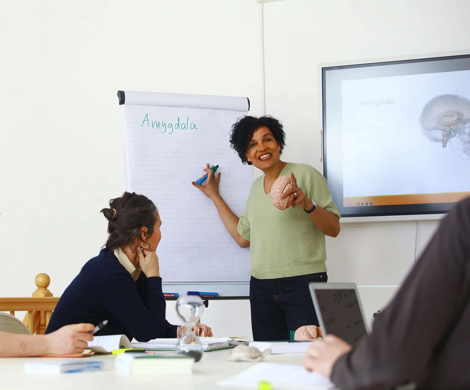 Dozentin erklärt im Unterricht die Funktion der Amygdala während einer Heilpraktiker Ausbildung im Bereich Psychotherapie im Heilpraktiker Quartier.
